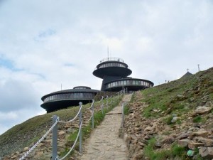 100_9774 (1)